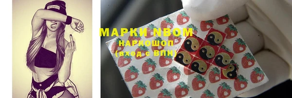 хмурый Абаза